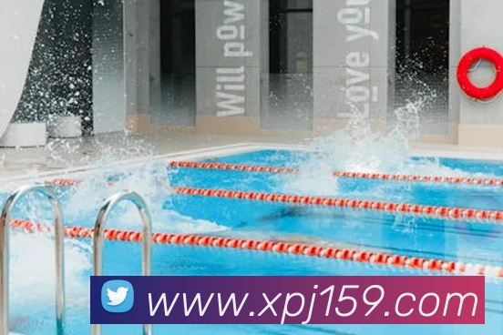 新葡京娱乐APP 封面图